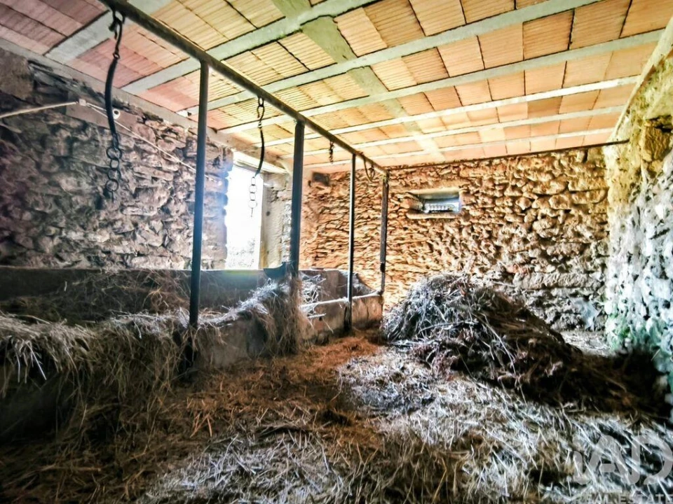 Quinta T4 para Venda em Argela Foto 36