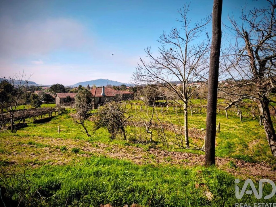 Quinta T4 para Venda em Argela Foto 10