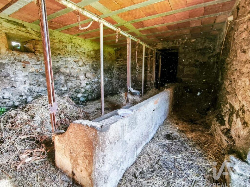 Quinta T4 para Venda em Argela Foto 35