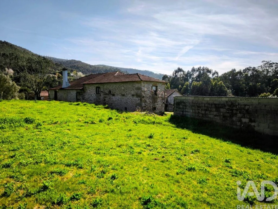 Quinta T4 para Venda em Argela Foto 20