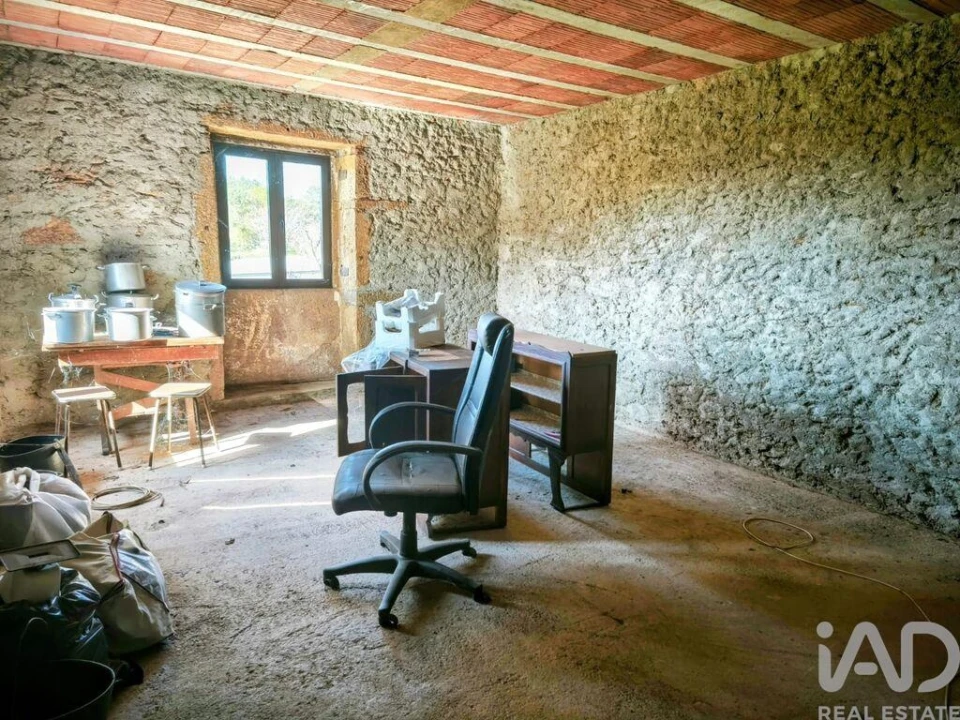 Quinta T4 para Venda em Argela Foto 33