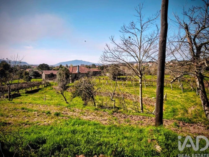 Quinta T4 para Venda em Argela Foto 10