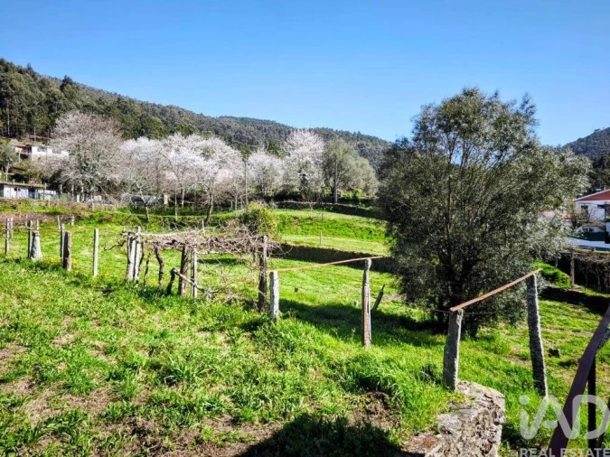 Quinta T4 para Venda em Argela Foto 16