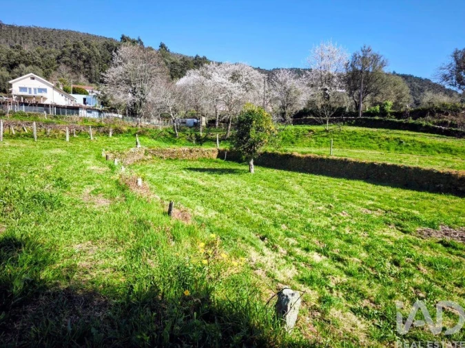 Quinta T4 para Venda em Argela Foto 22