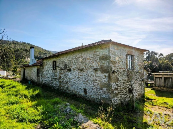 Quinta T4 para Venda em Argela Foto 4