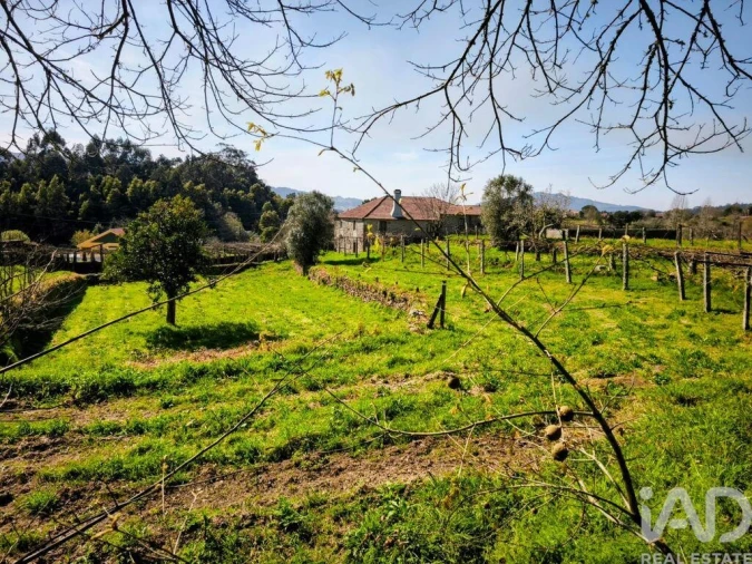 Quinta T4 para Venda em Argela Foto 14