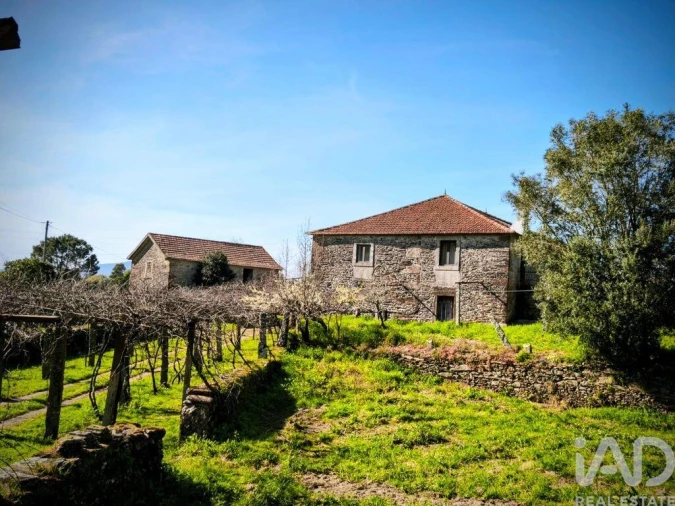 Quinta T4 para Venda em Argela Foto 18