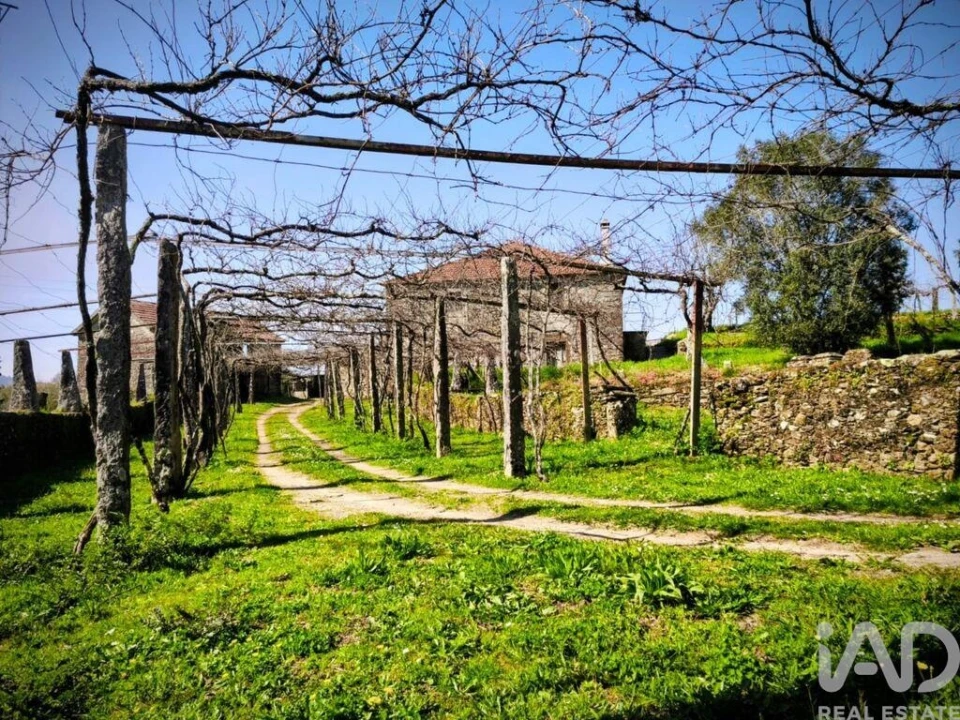 Quinta T4 para Venda em Argela Foto 38