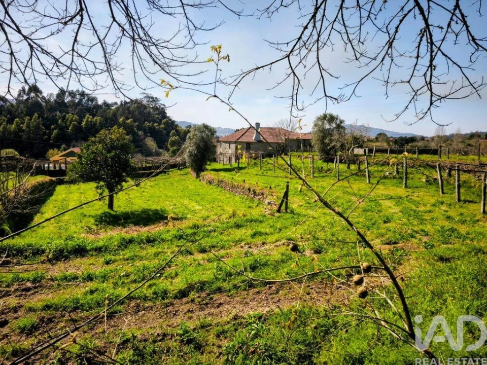 Quinta T4 para Venda em Argela Foto 14