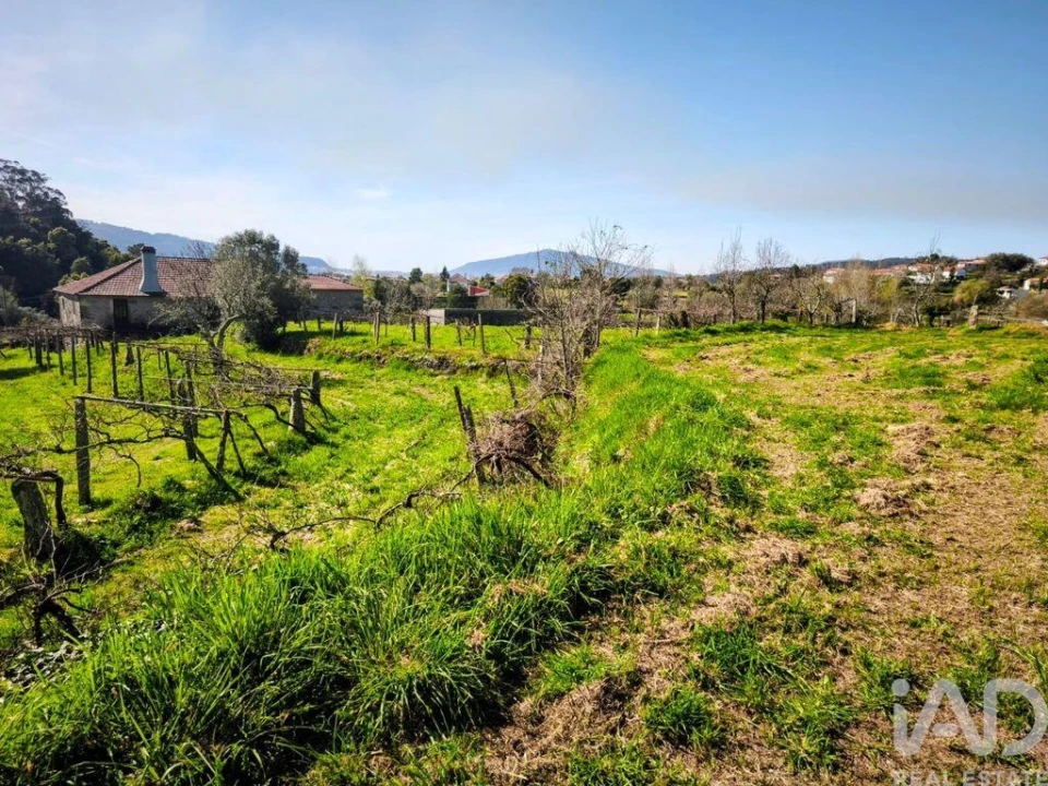 Quinta T4 para Venda em Argela Foto 15