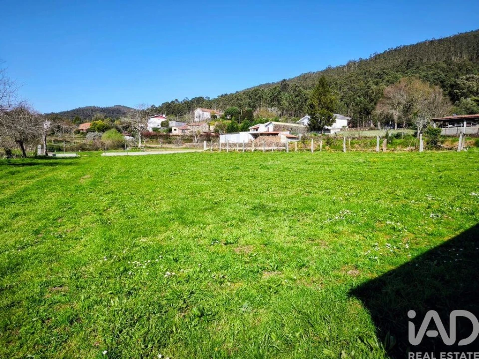 Quinta T4 para Venda em Argela Foto 21