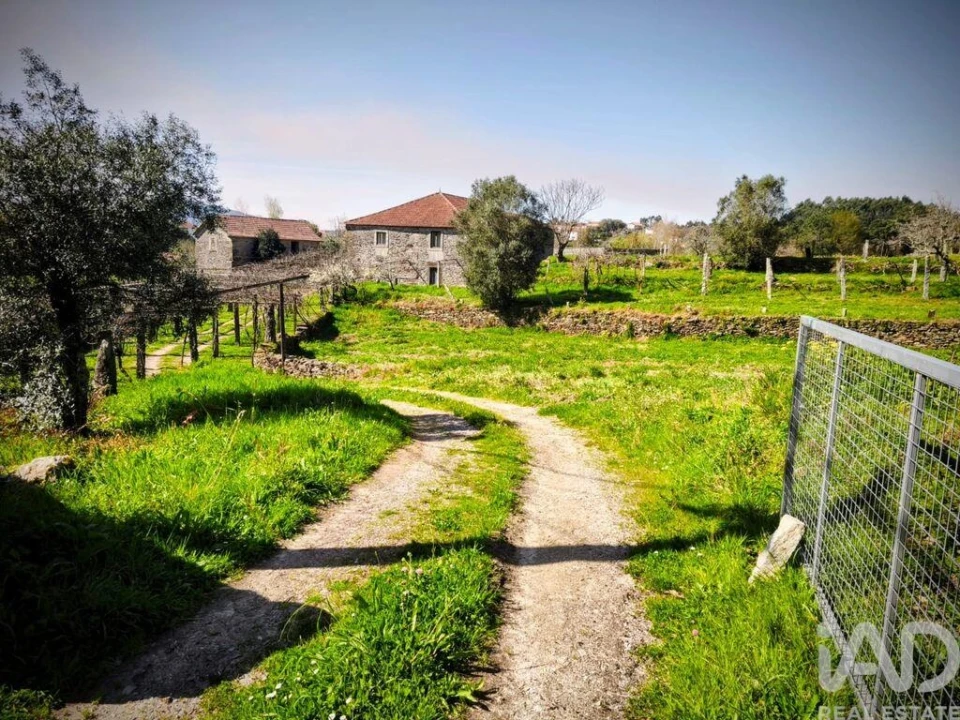 Quinta T4 para Venda em Argela Foto 5