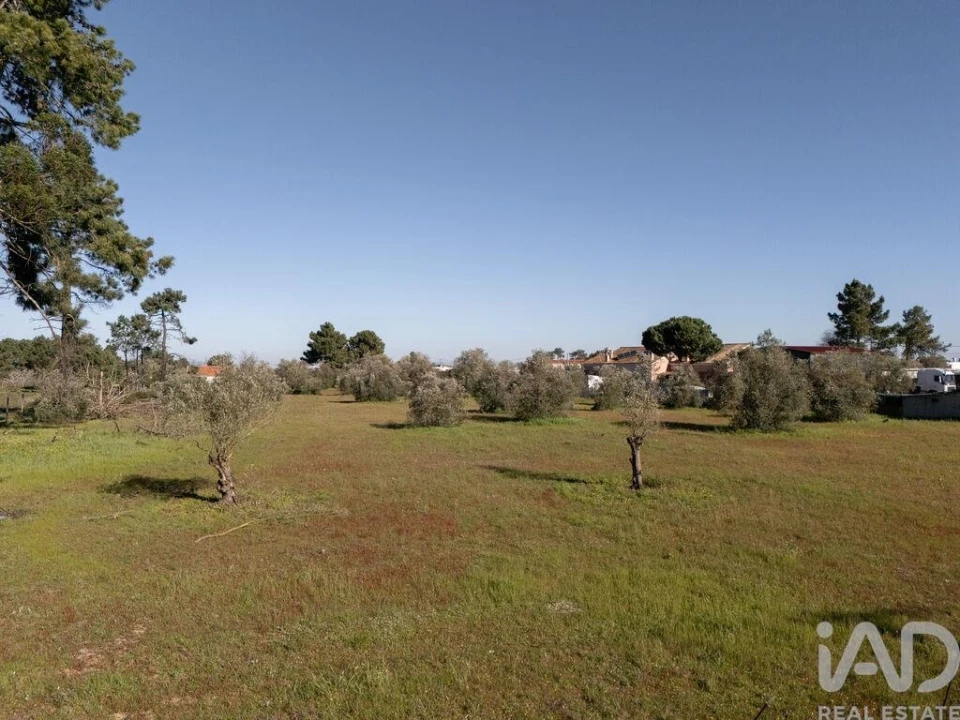 Terreno para Venda em Azeitão (São Lourenço e São Simão) Foto 6