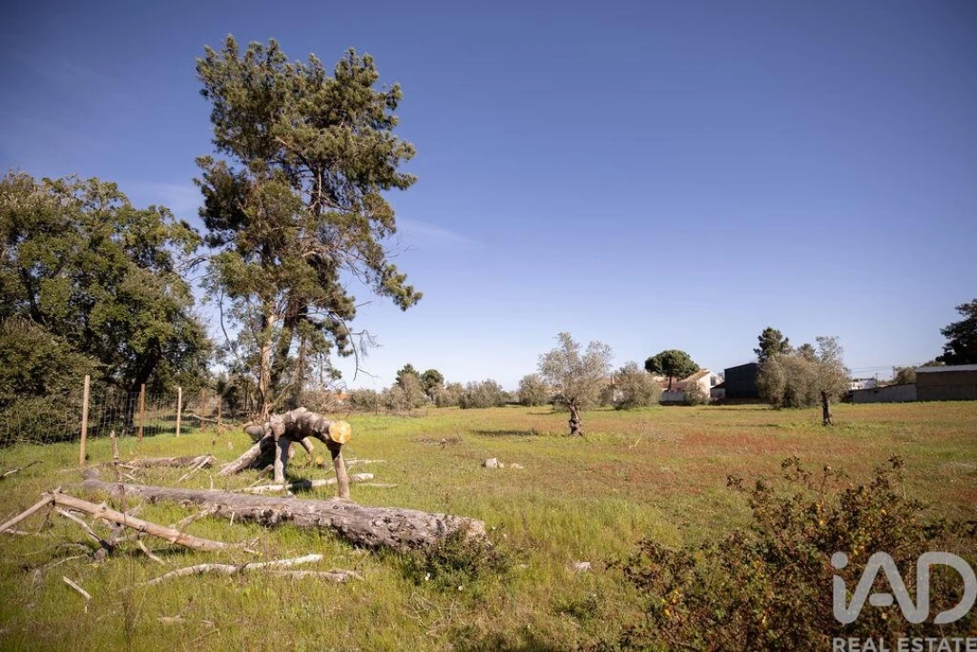 Terreno para Venda em Azeitão (São Lourenço e São Simão) Foto 17