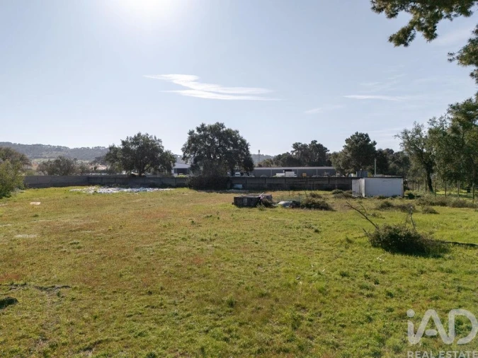Terreno para Venda em Azeitão (São Lourenço e São Simão) Foto 3