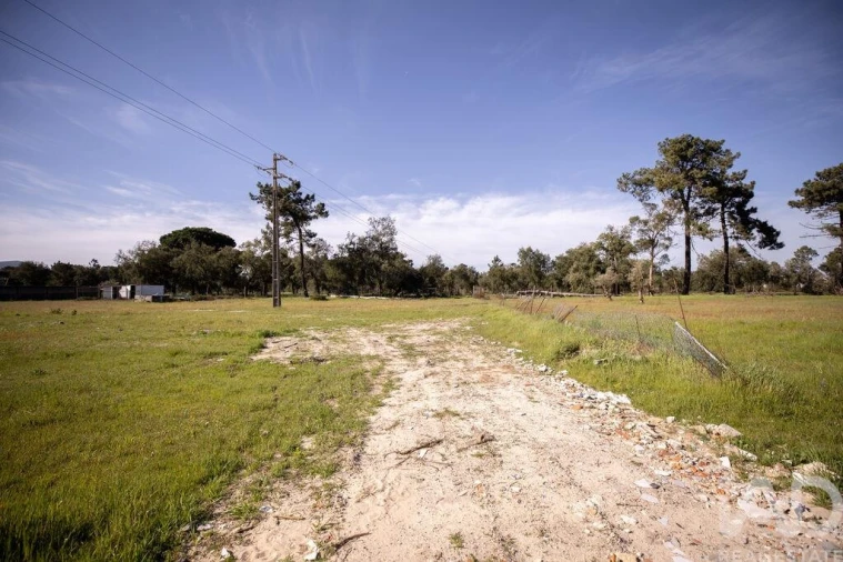 Terreno para Venda em Azeitão (São Lourenço e São Simão) Foto 19
