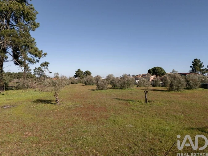 Terreno para Venda em Azeitão (São Lourenço e São Simão) Foto 8