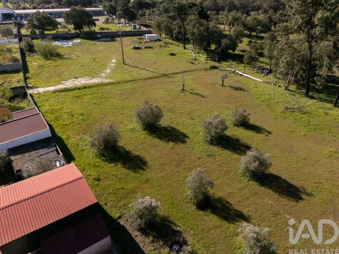 Terreno para Venda em Azeitão (São Lourenço e São Simão) Foto 5