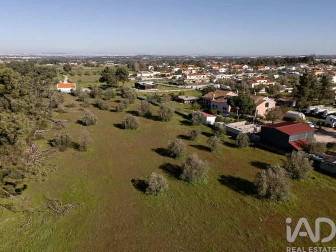 Terreno para Venda em Azeitão (São Lourenço e São Simão) Foto 10
