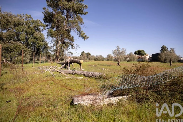 Terreno para Venda em Azeitão (São Lourenço e São Simão) Foto 16
