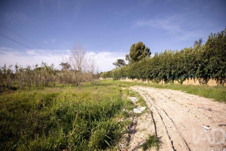 Terreno para Venda em Azeitão (São Lourenço e São Simão) Foto 21