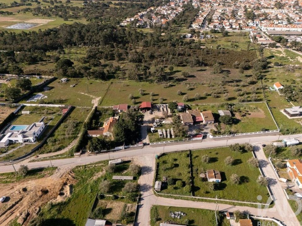 Terreno para Venda em Azeitão (São Lourenço e São Simão) Foto 13