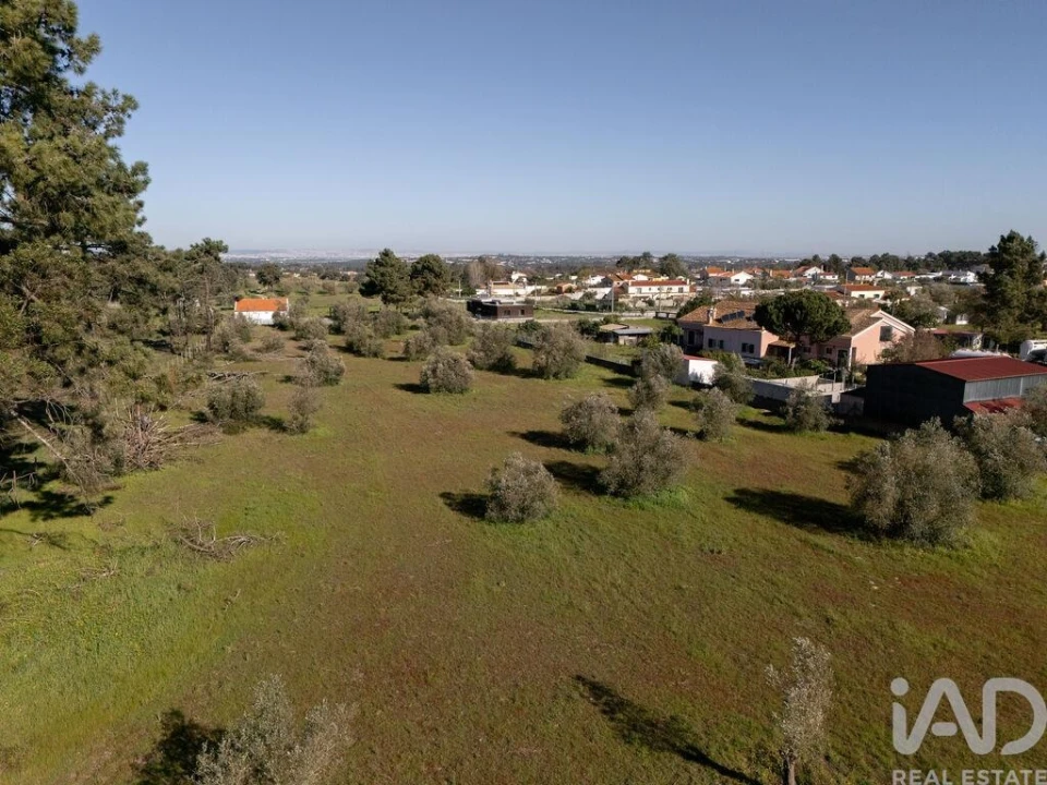 Terreno para Venda em Azeitão (São Lourenço e São Simão) Foto 9