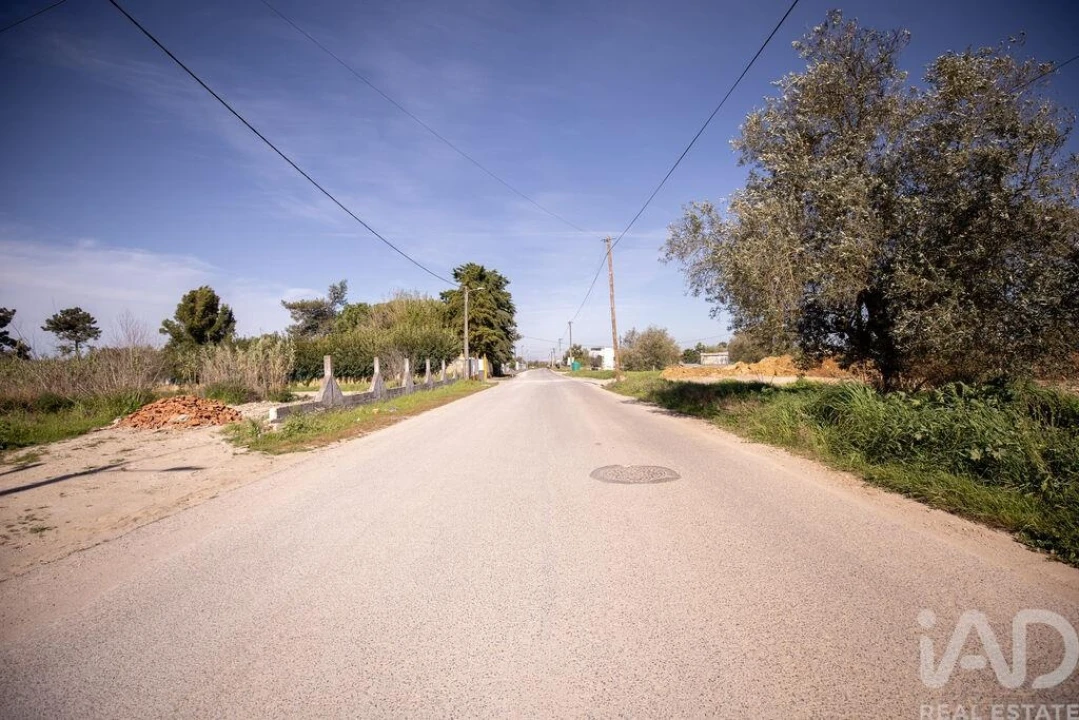Terreno para Venda em Azeitão (São Lourenço e São Simão) Foto 24