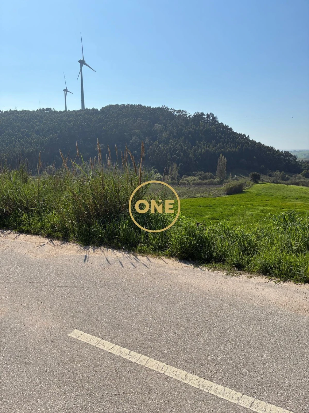 Terreno para Venda em Freiria Foto 15