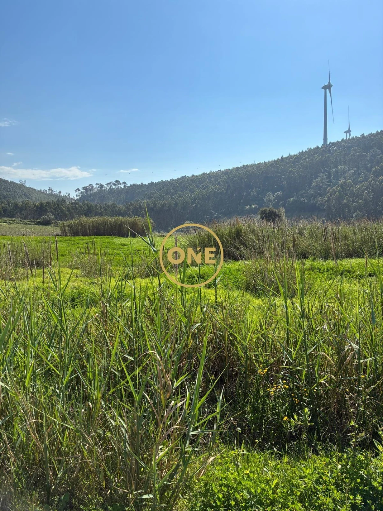 Terreno para Venda em Freiria Foto 3