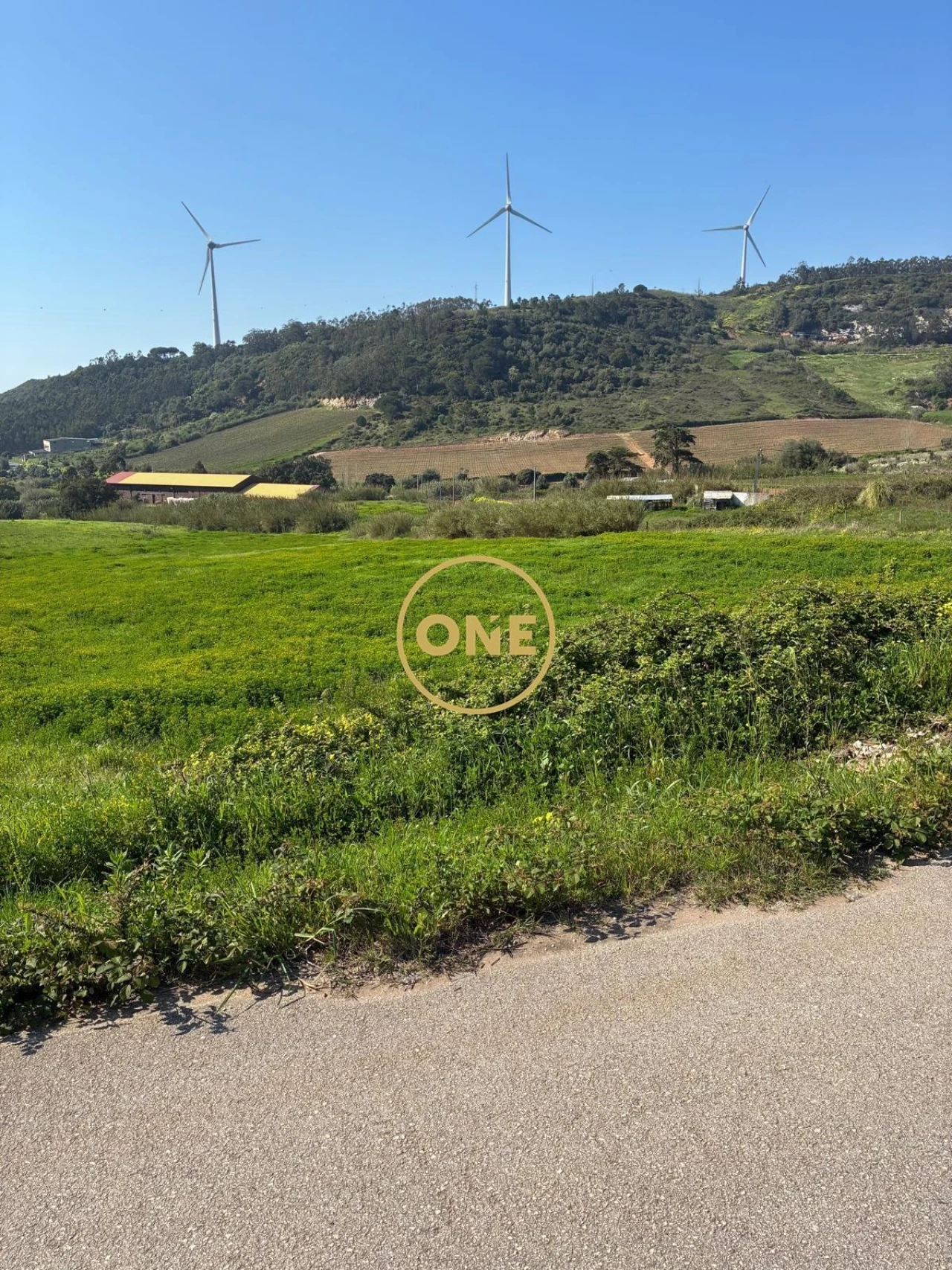 Terreno para Venda em Freiria Foto 17