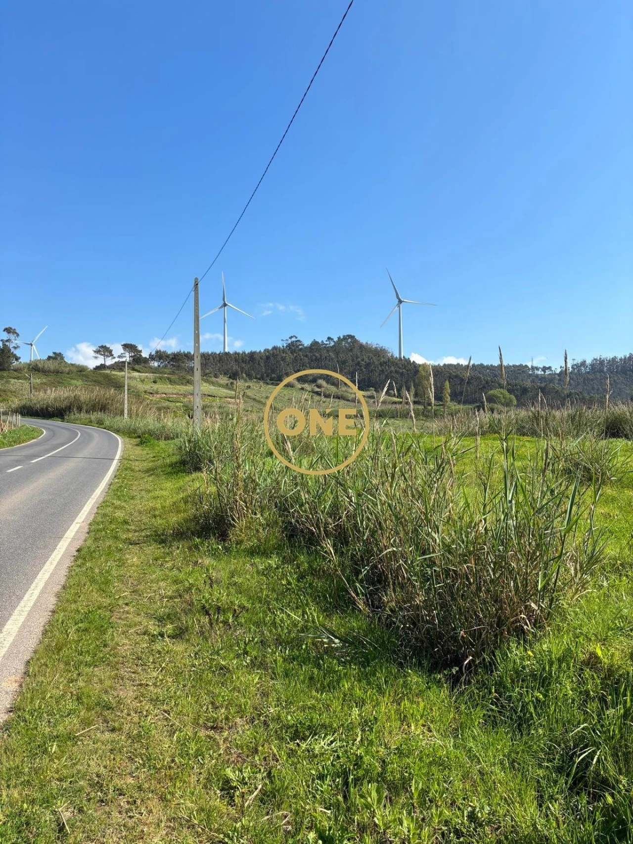 Terreno para Venda em Freiria Foto 10