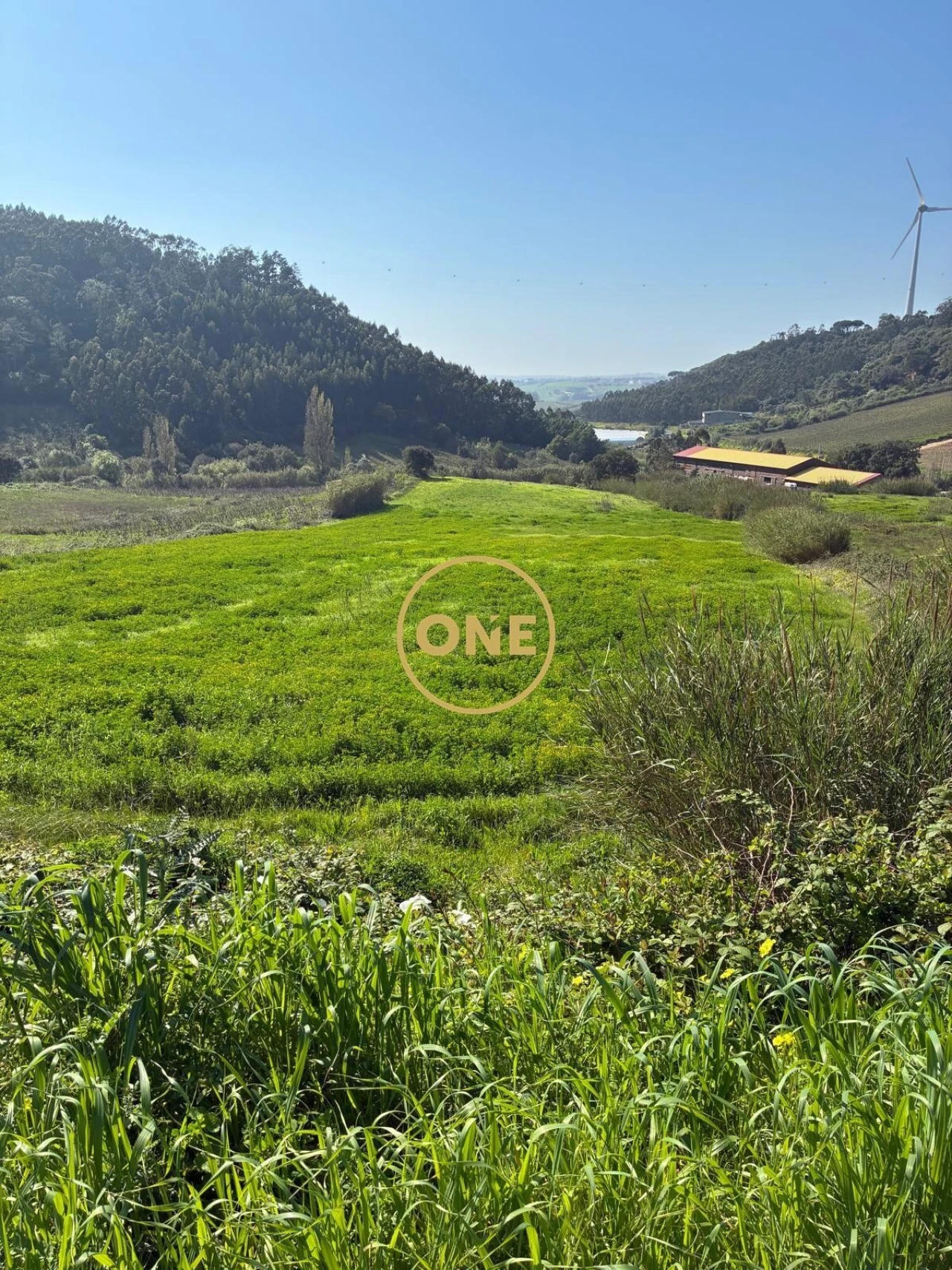 Terreno para Venda em Freiria Foto 19