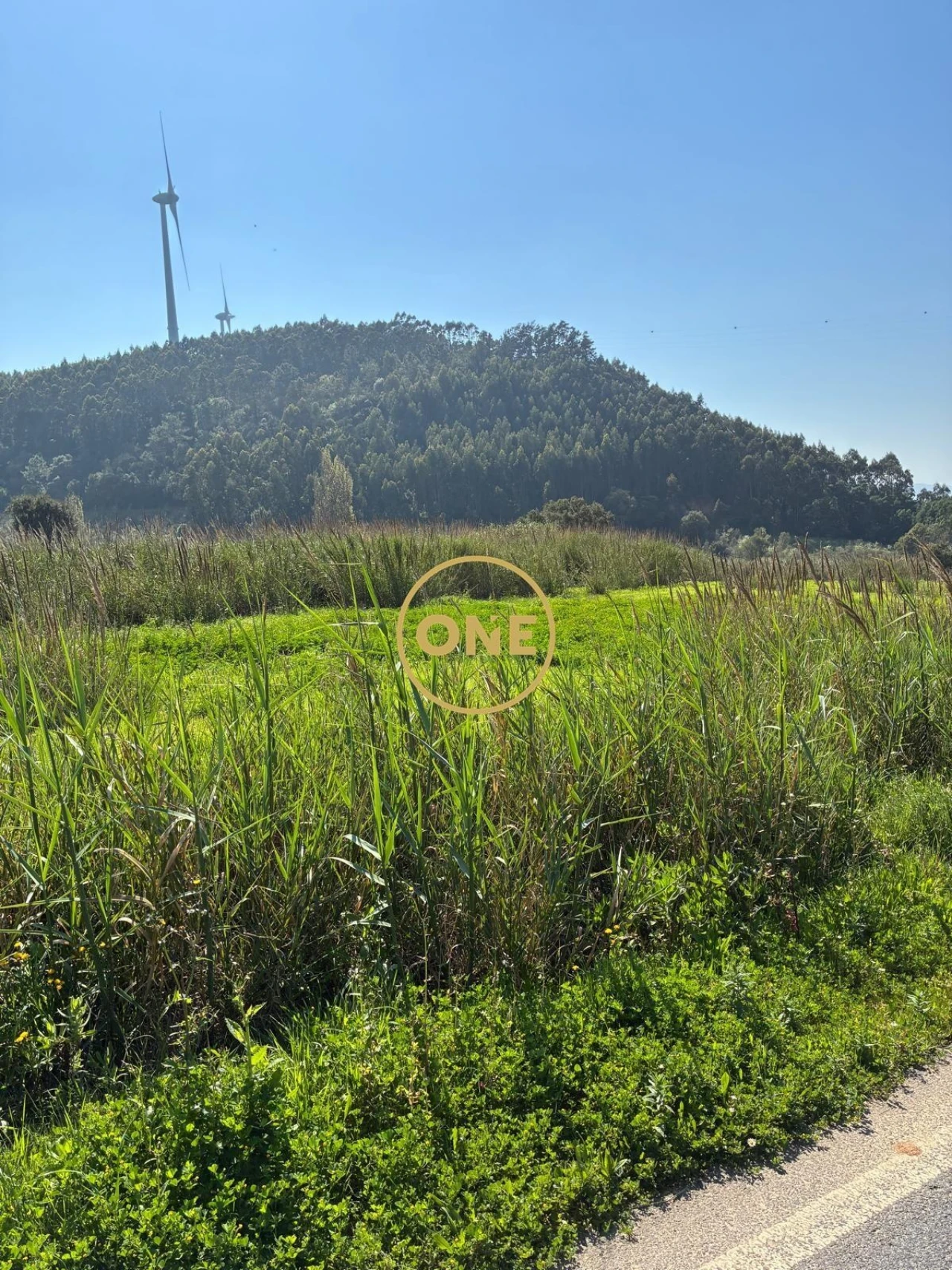 Terreno para Venda em Freiria Foto 2