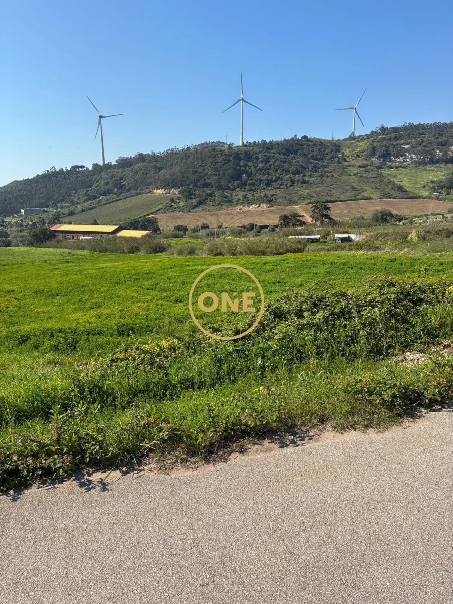 Terreno para Venda em Freiria Foto 17