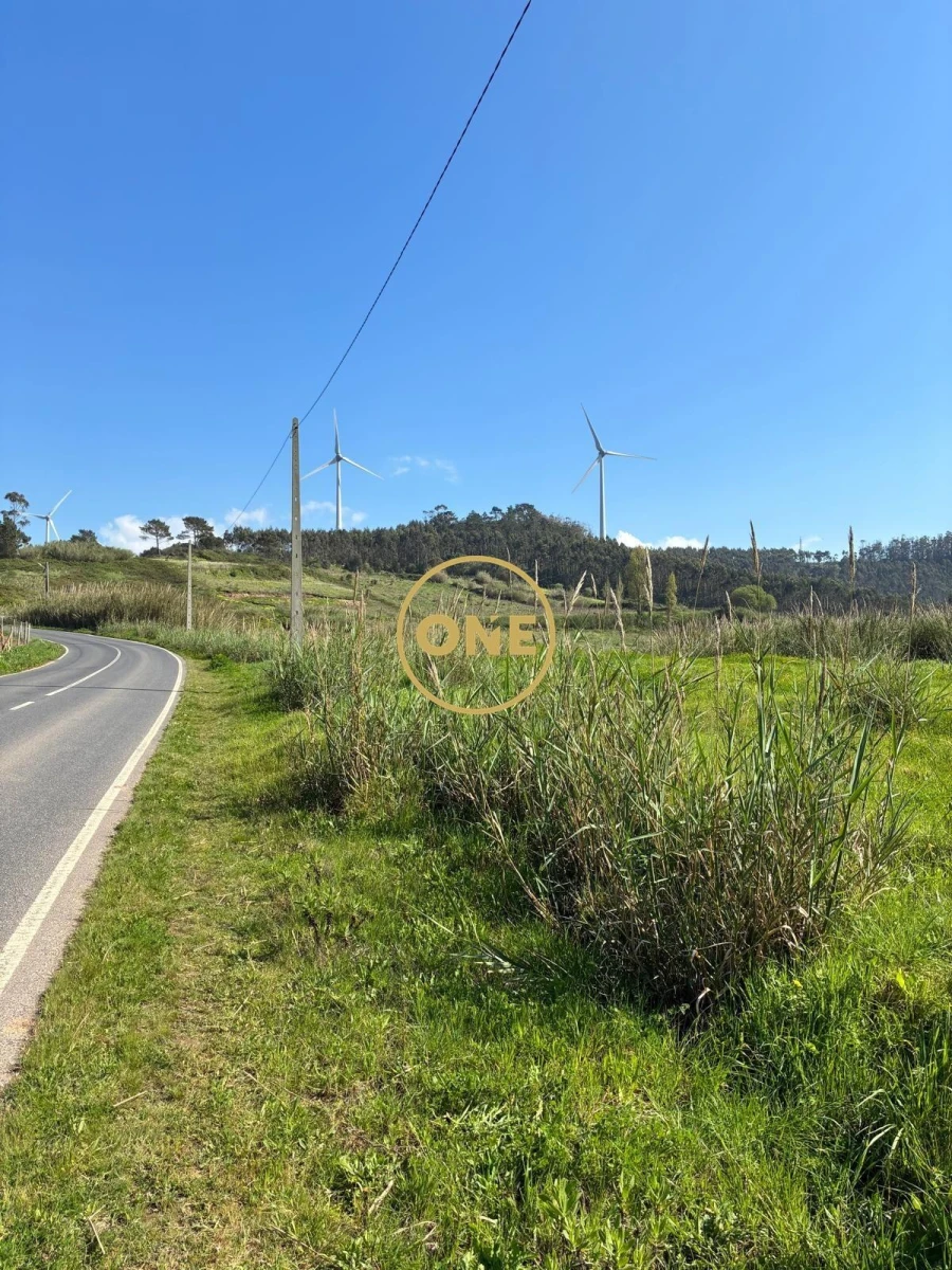 Terreno para Venda em Freiria Foto 10