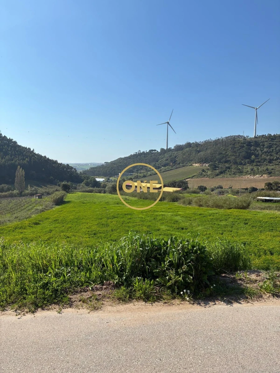 Terreno para Venda em Freiria Foto 18