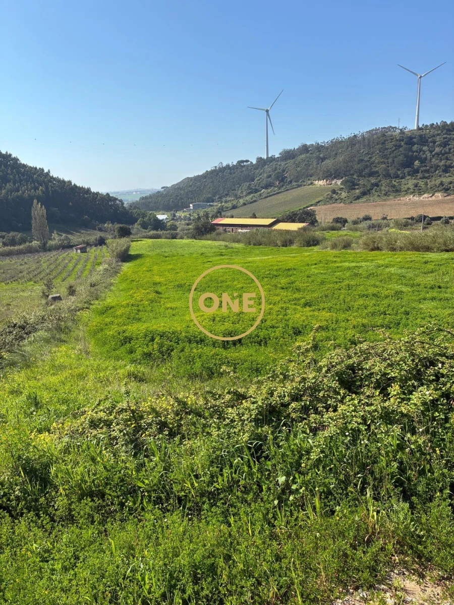 Terreno para Venda em Freiria Foto 16