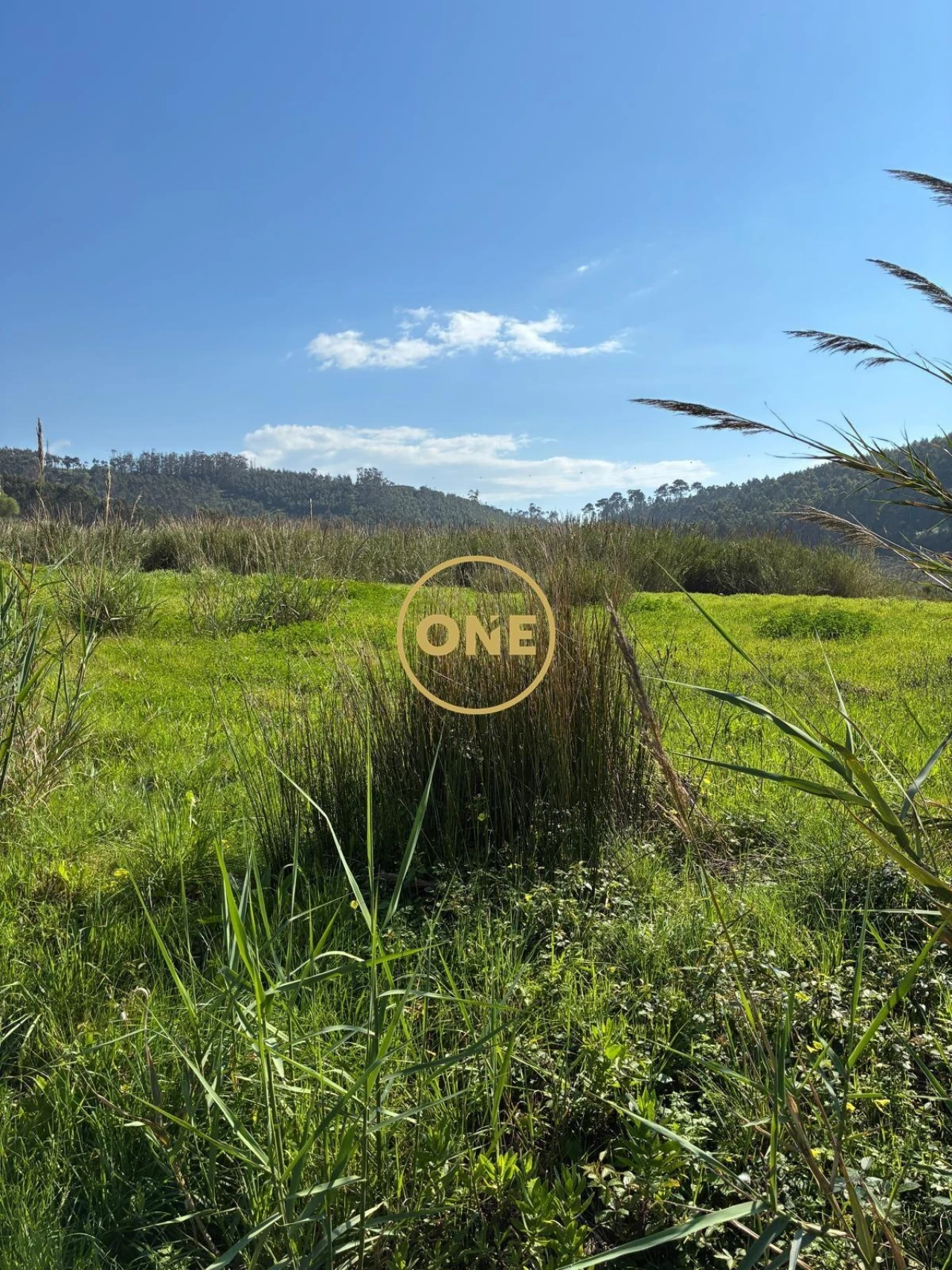 Terreno para Venda em Freiria Foto 13