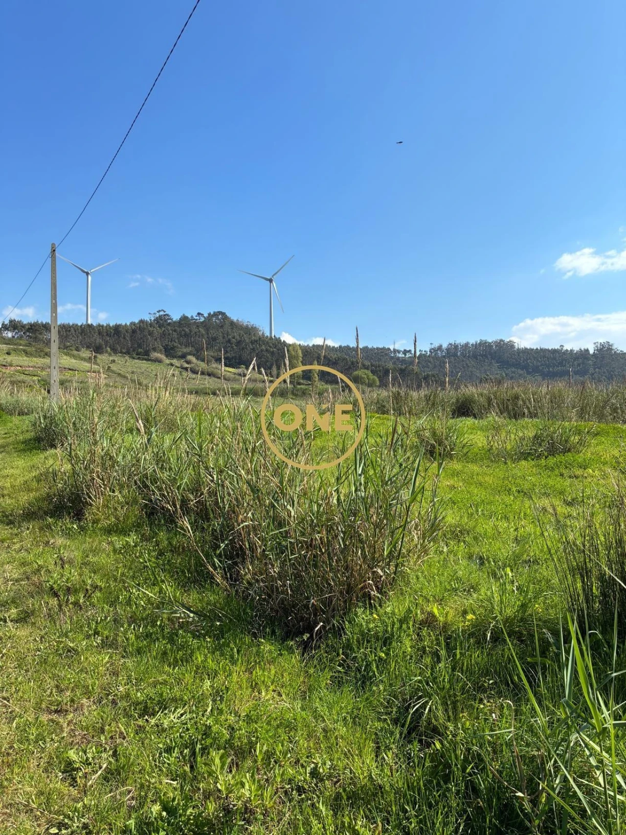 Terreno para Venda em Freiria Foto 11