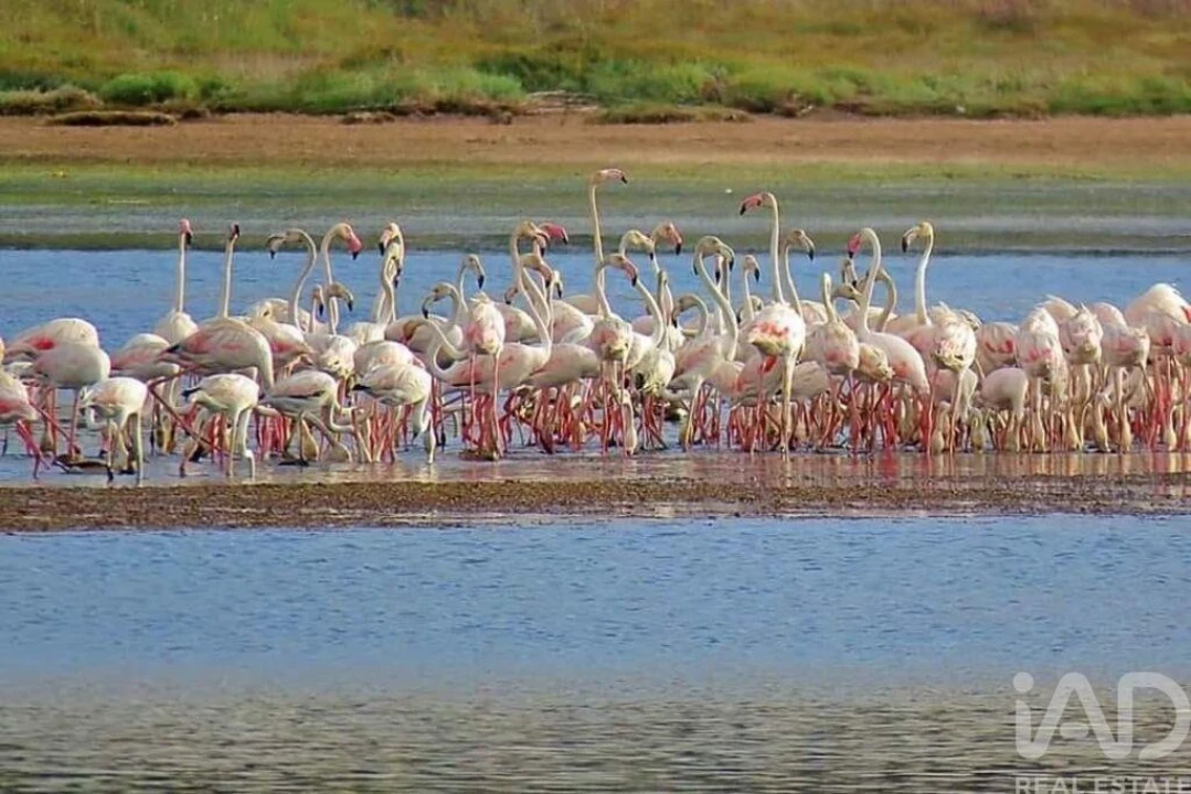 Moradia T3 para Venda em Salir de Matos Foto 20