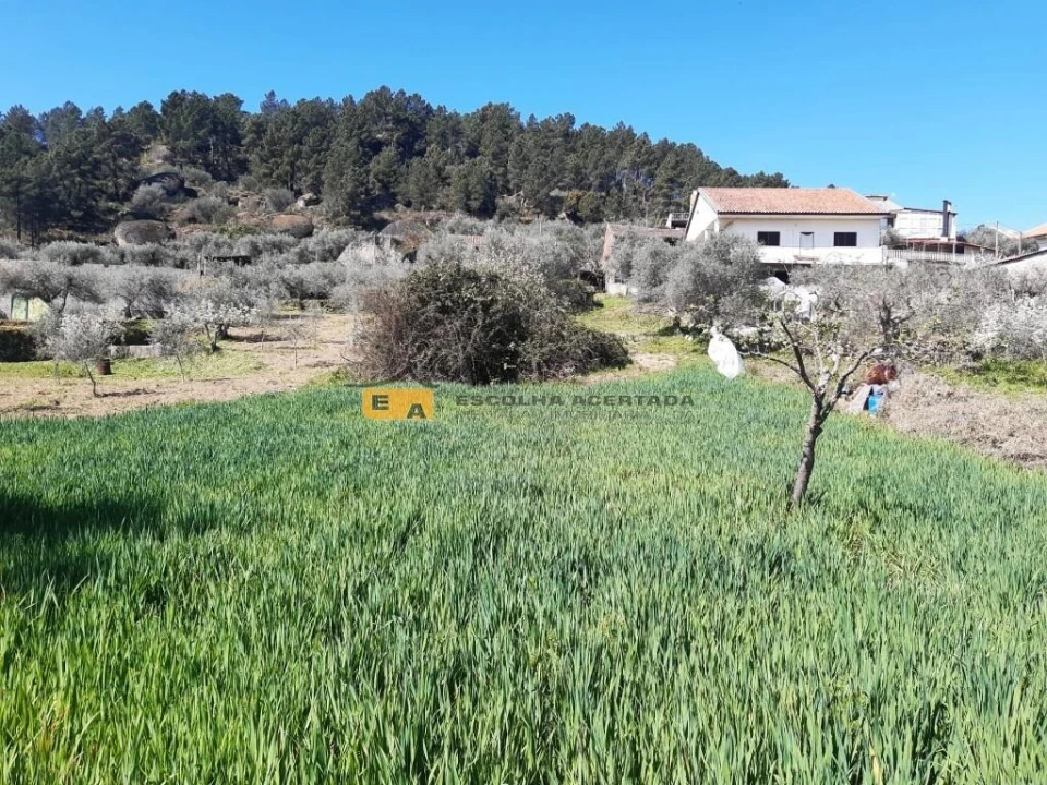 Moradia T3 para Venda em São Pedro Velho Foto 23