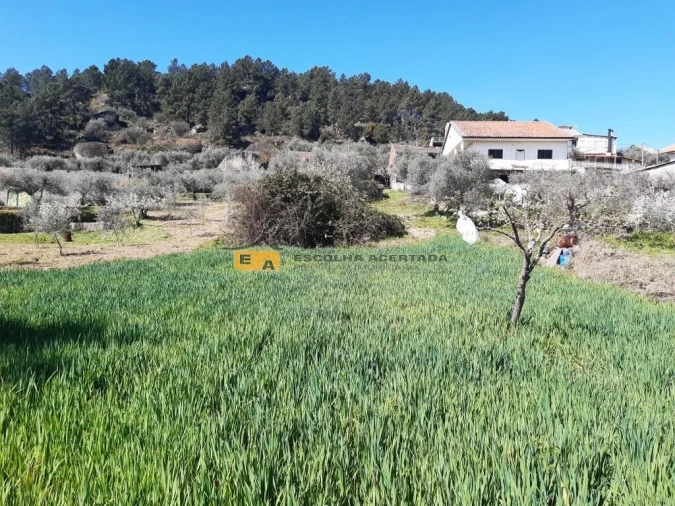 Moradia T3 para Venda em São Pedro Velho Foto 23