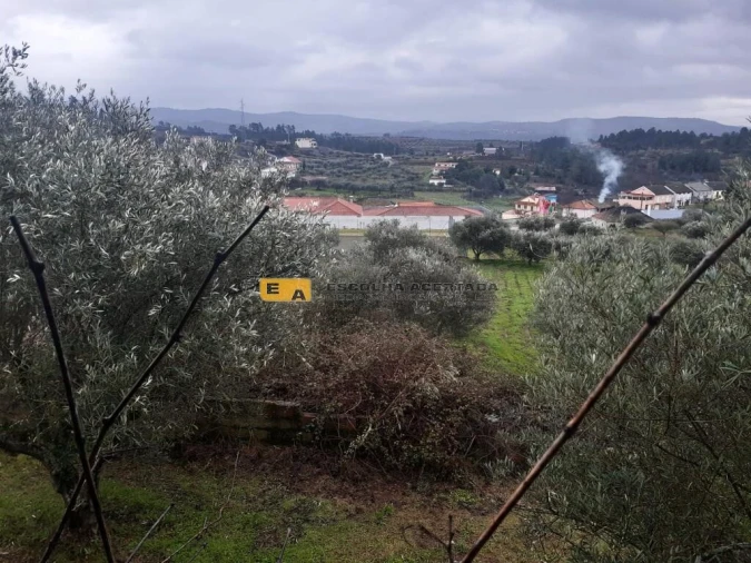 Moradia T3 para Venda em São Pedro Velho Foto 7