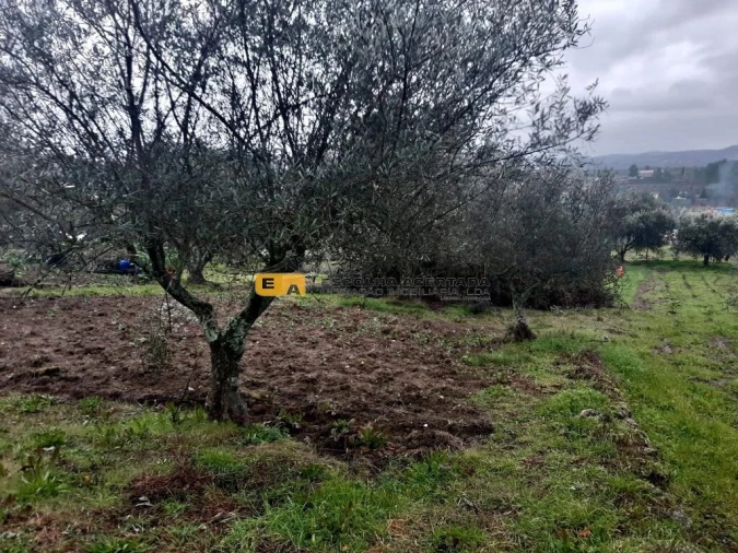 Moradia T3 para Venda em São Pedro Velho Foto 18