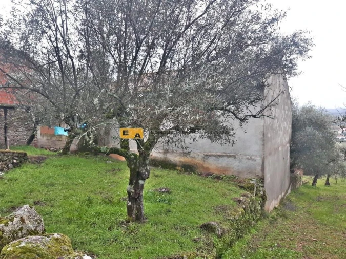 Moradia T3 para Venda em São Pedro Velho Foto 21