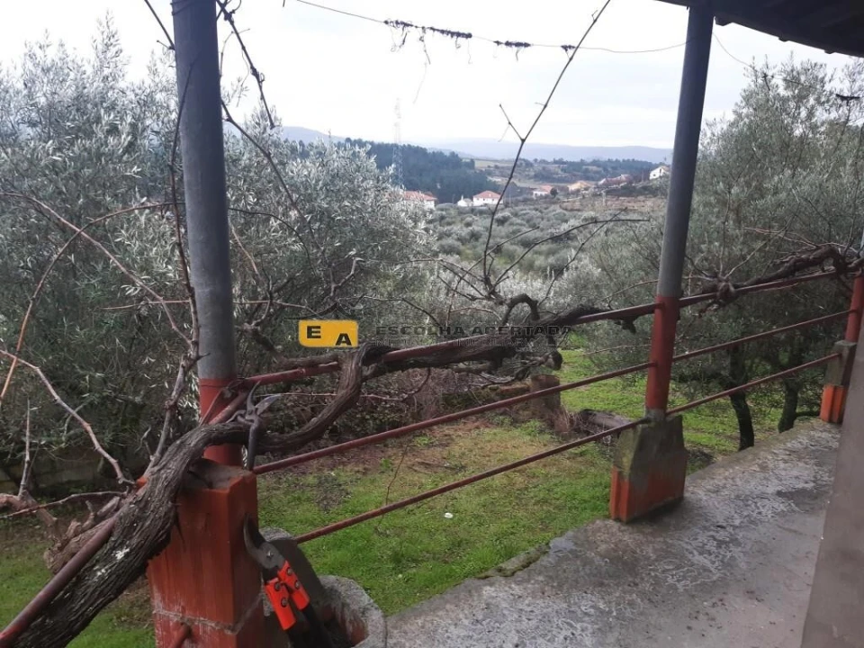 Moradia T3 para Venda em São Pedro Velho Foto 11