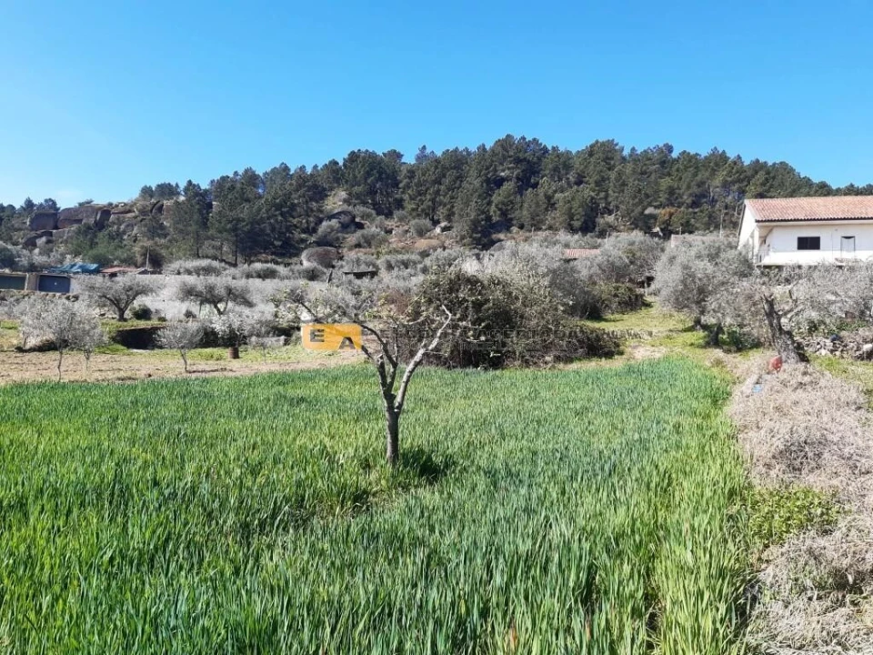 Moradia T3 para Venda em São Pedro Velho Foto 22