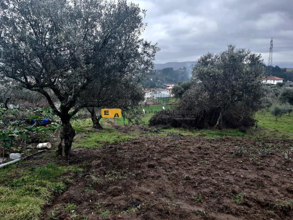 Moradia T3 para Venda em São Pedro Velho Foto 13