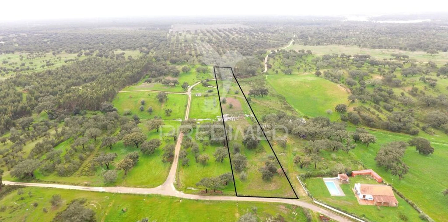 Terreno para Venda em São Domingos e Vale de Água Foto 1